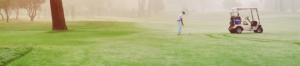 Golf fairway