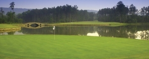 stonebridge golf club